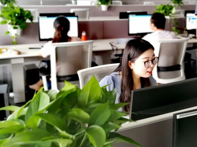 數字化轉型的橋梁 上市外企如何通過天貓京東唯品會在線客服優化信息技術咨詢服務